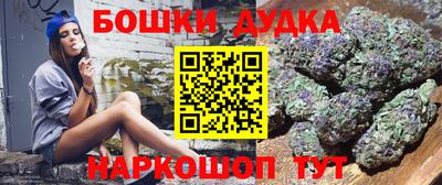 сатива Камышлов