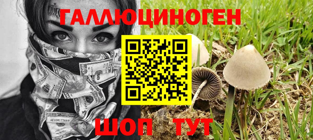 Галлюциногенные грибы Psilocybine cubensis  закладка  Магнитогорск  Вход с VPN  Псилоцибиновые грибы Magic Shrooms 