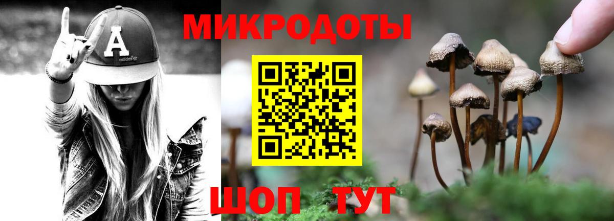 Псилоцибиновые грибы Psilocybine cubensis Магнитогорск